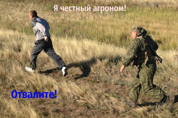 Сайт кракен что это такое