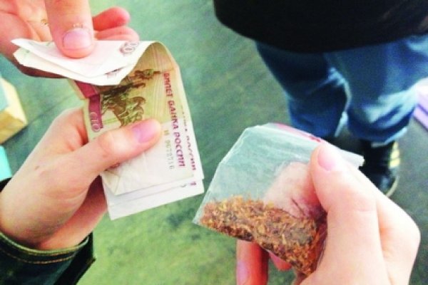 Сайт кракен зайти