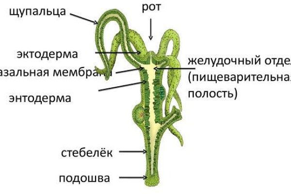 Kraken актуальное