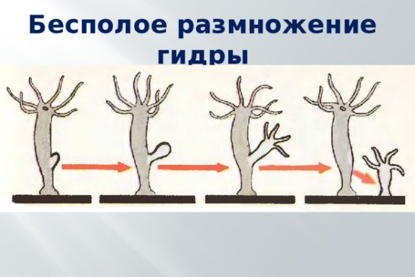 Даркнет сайт скачать