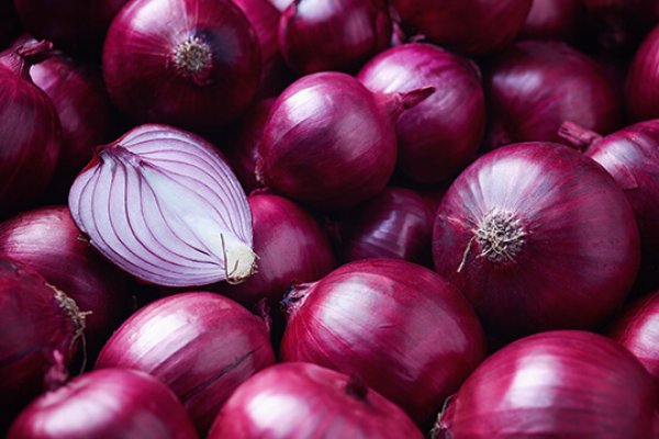Ссылка на кракен onion kraken dark link