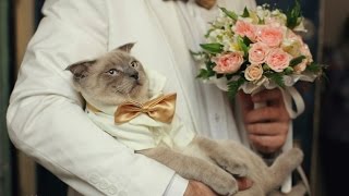 Кракен сегодня сайт зеркало