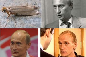 Кракен сайт вход kraken torion